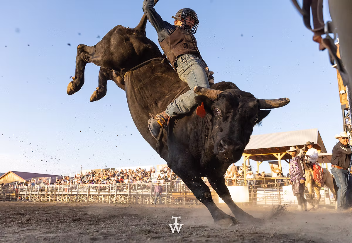 Twisted Nut Rodeo flyer